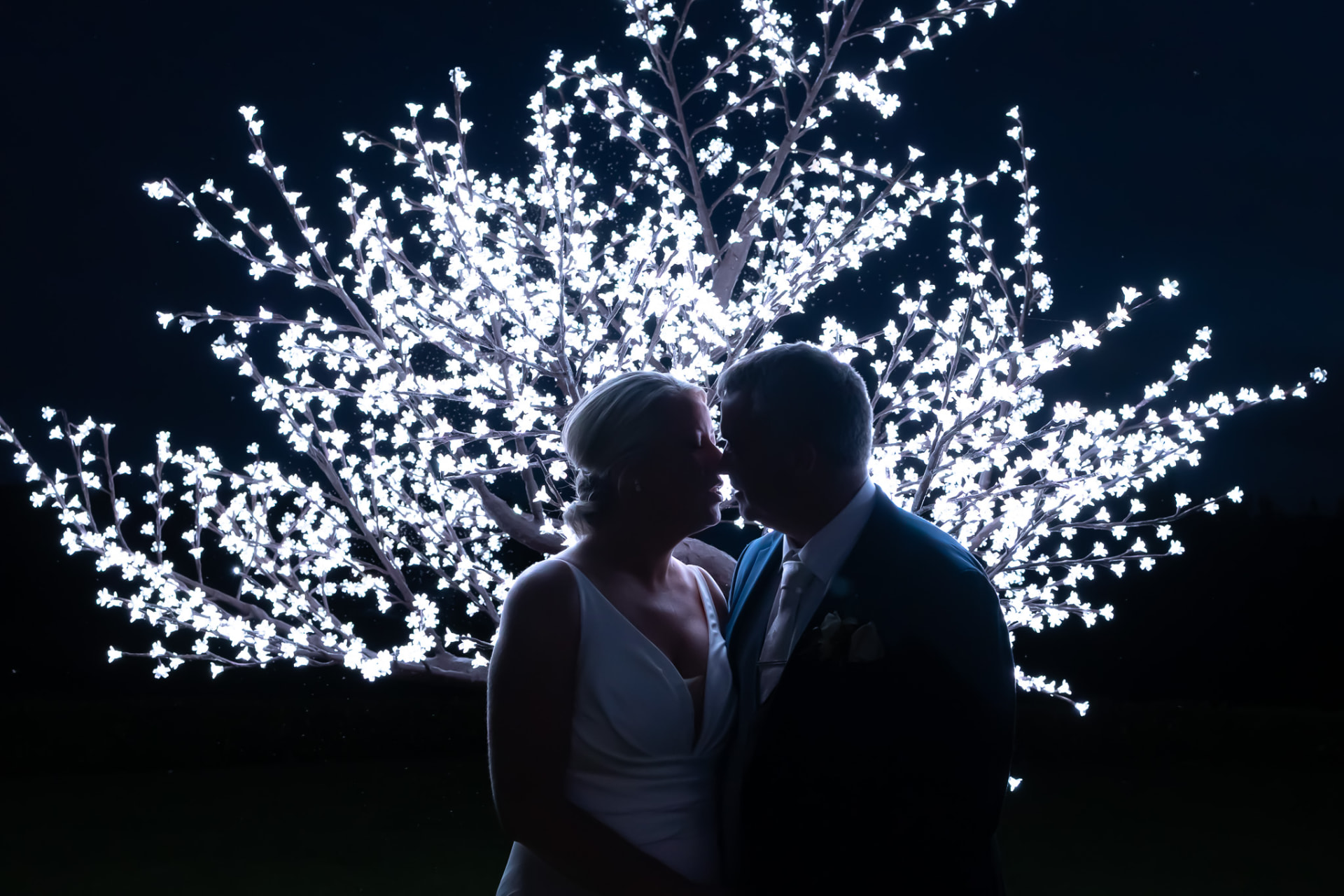 Bride and groom silhouetted against an illuminated blossom tree at night
